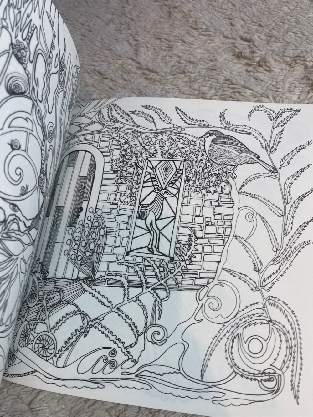Tangle Wood Coloring Book by Jessica Palmer - Black & White Cover - Picture 4 of 6